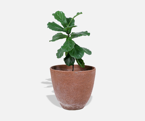 Monumental Stan Bitters Stoneware Ceramic Planter for Hans Sumpf
